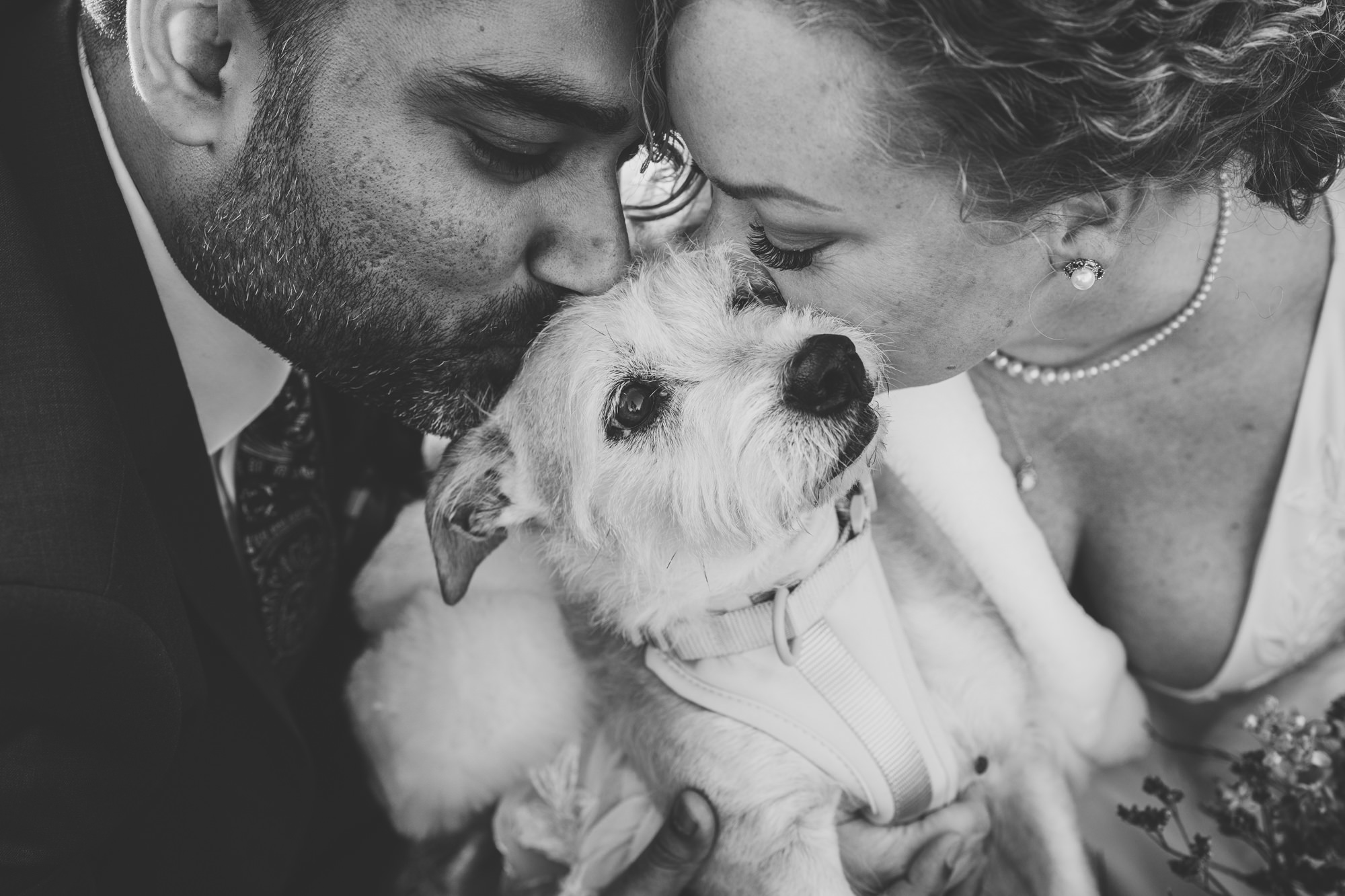 bride and groom kissing their puppy together