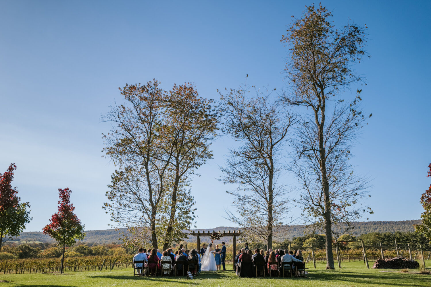 wide show of a Kalero Vineyard wedding ceremony 