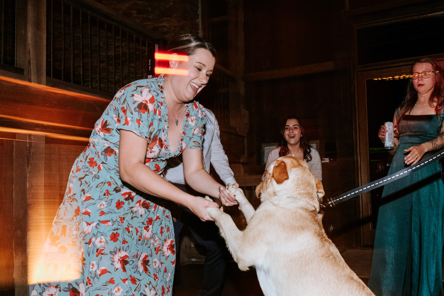 wedding guest dancing with a dog on the dance floor