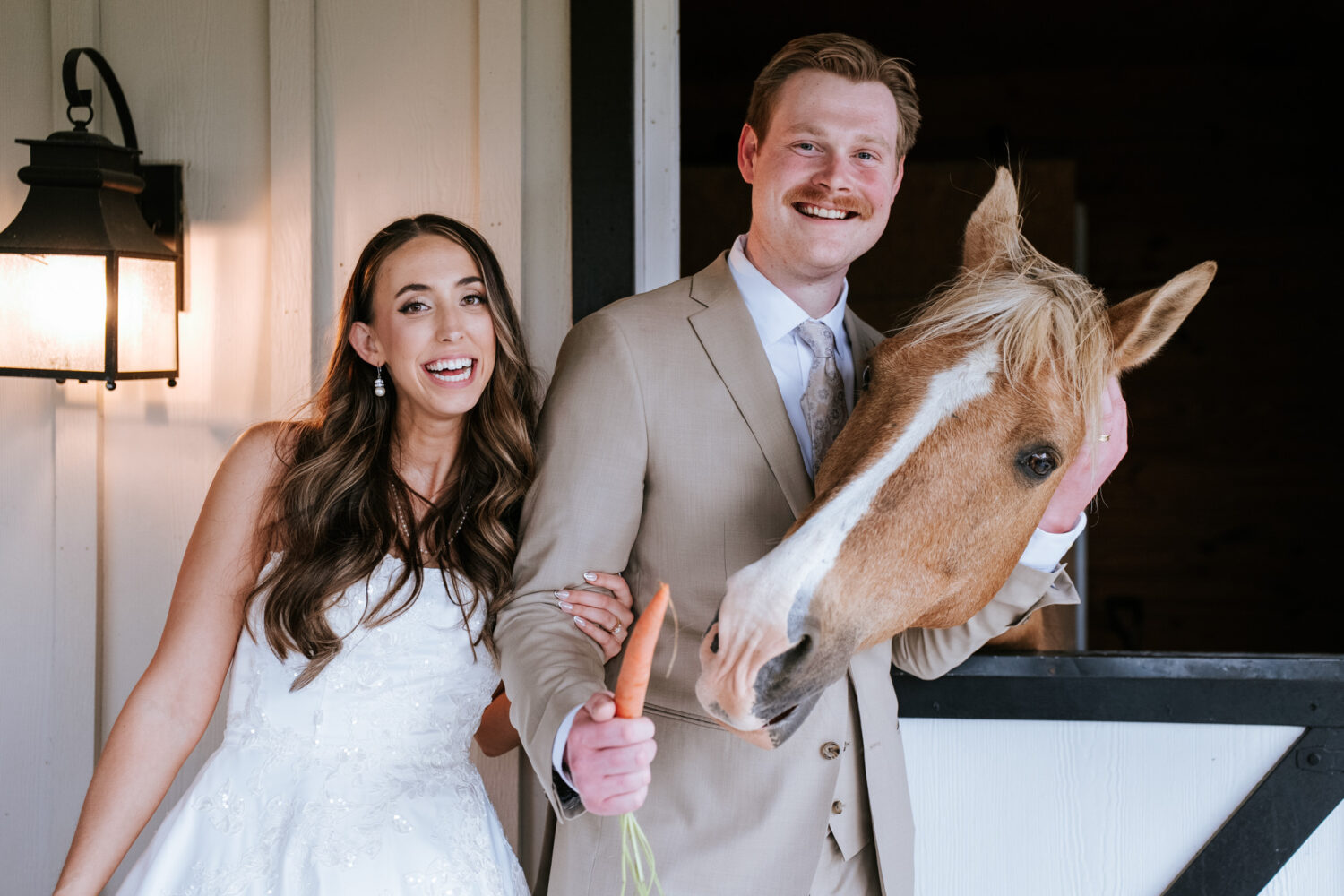 bride and groom petting a horse and feeding it carrots