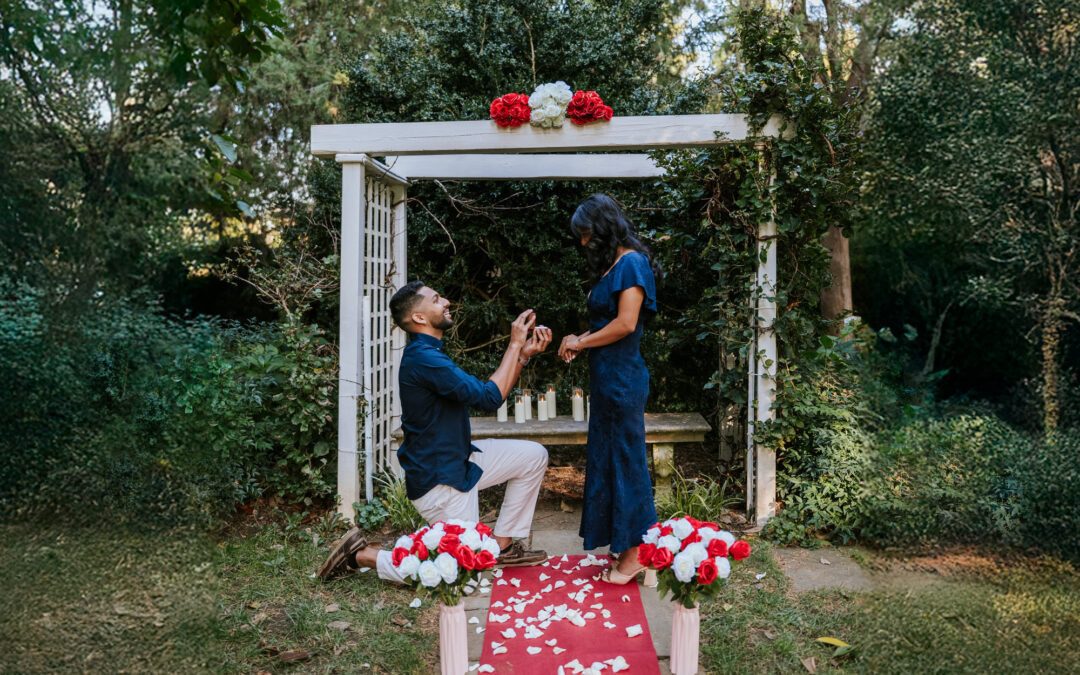 Surprise Proposal Photographer: What to Expect & How I Can Help